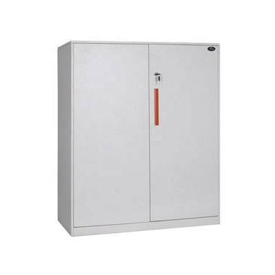 Narrow Bridge Modern 2 Door Clothing Steel Locker Wardrobe File Cabinet