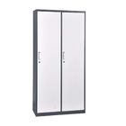 Two Doors Two Line Metal Sports Lockers Powder Coating Metal Locker Wardrobe
