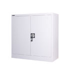 Metal Bedroom Clothes Storage Two Doors RAL Color Electrostatic Iron Cupboard