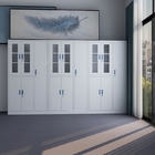 Multi Function Steel Storage Cabinet With New Design Cabinet Locker