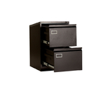 Two Drawers A2 Folders Storage Steel Cabinet With Removable Filing Rail
